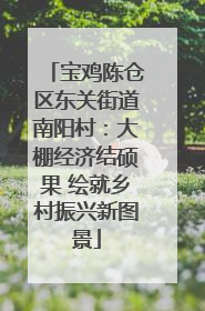 宝鸡陈仓区东关街道南阳村：大棚经济结硕果 绘就乡村振兴新图景