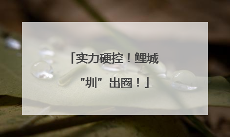 实力硬控！鲤城“圳”出圈！