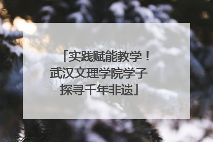 实践赋能教学！武汉文理学院学子探寻千年非遗