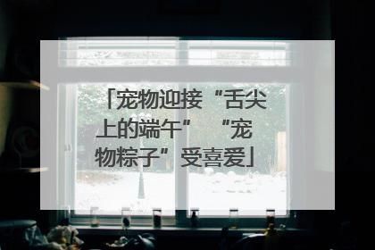 宠物迎接“舌尖上的端午” “宠物粽子”受喜爱