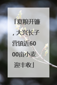 夏粮开镰，大兴长子营镇近6000亩小麦迎丰收