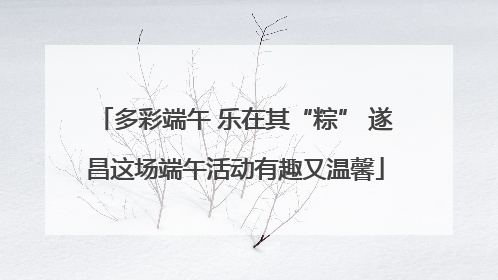 多彩端午 乐在其“粽” 遂昌这场端午活动有趣又温馨