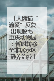 大熊猫“渝爱”反复出现脱毛 重庆动物园：暂时转移至非展示区静养治疗