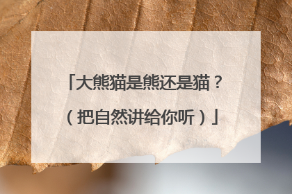 大熊猫是熊还是猫？（把自然讲给你听）