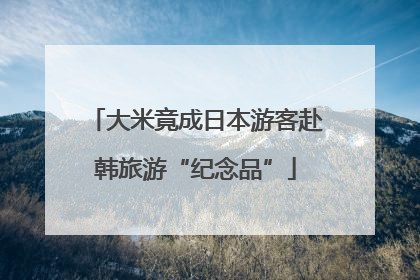 大米竟成日本游客赴韩旅游“纪念品”