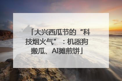 大兴西瓜节的“科技烟火气”：机器狗搬瓜、AI摊煎饼