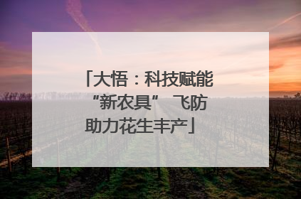大悟：科技赋能“新农具” 飞防助力花生丰产