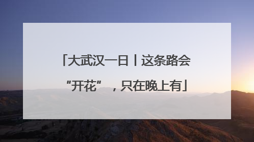 大武汉一日丨这条路会“开花”，只在晚上有