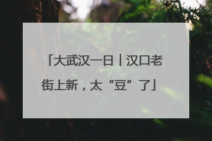 大武汉一日︱汉口老街上新，太“豆”了