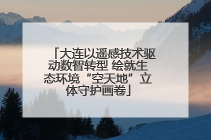 大连以遥感技术驱动数智转型 绘就生态环境“空天地”立体守护画卷