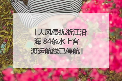 大风侵扰浙江沿海 84条水上客渡运航线已停航