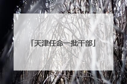 天津任命一批干部