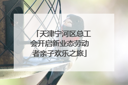 天津宁河区总工会开启新业态劳动者亲子欢乐之旅
