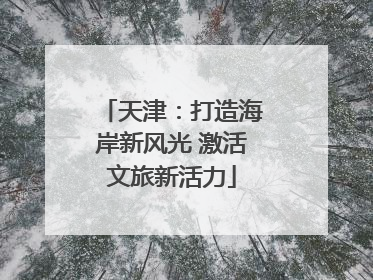 天津：打造海岸新风光 激活文旅新活力