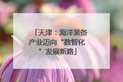 天津：海洋装备产业迈向“数智化”发展新路