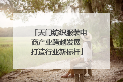 天门纺织服装电商产业跨越发展 打造行业新标杆
