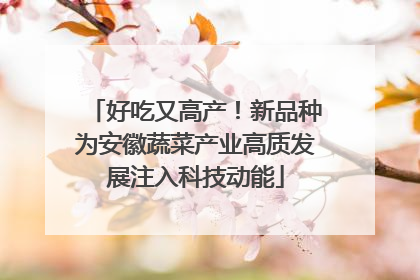 好吃又高产！新品种为安徽蔬菜产业高质发展注入科技动能