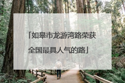 如皋市龙游湾路荣获全国最具人气的路