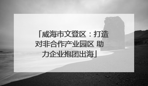 威海市文登区：打造对非合作产业园区 助力企业抱团出海