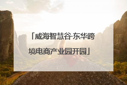 威海智慧谷·东华跨境电商产业园开园