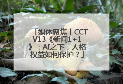 媒体聚焦丨CCTV13《新闻1+1》：AI之下，人格权益如何保护？