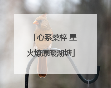 心系桑梓 星火燎原暖湖塘