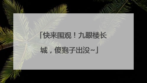 快来围观！九眼楼长城，傻狍子出没~