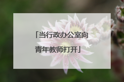当行政办公室向青年教师打开