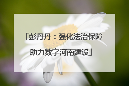 彭丹丹：强化法治保障 助力数字河南建设