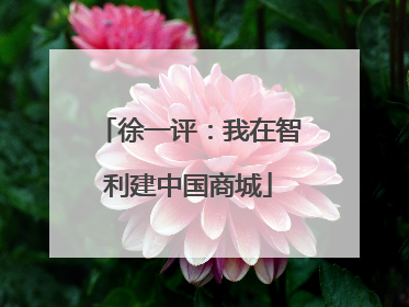 徐一评：我在智利建中国商城