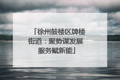 徐州鼓楼区牌楼街道：聚势谋发展 服务赋新能