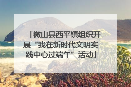 微山县西平镇组织开展“我在新时代文明实践中心过端午”活动