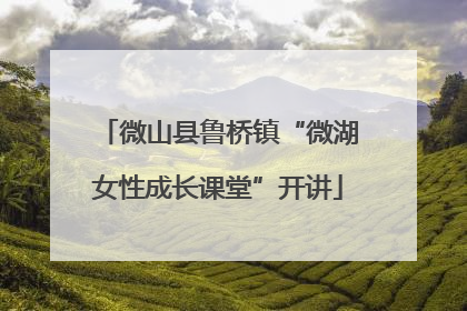 微山县鲁桥镇“微湖女性成长课堂”开讲