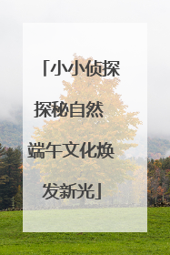 小小侦探探秘自然 端午文化焕发新光