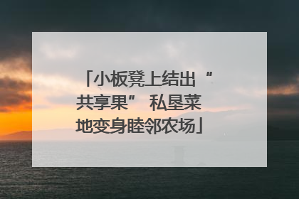 小板凳上结出“共享果” 私垦菜地变身睦邻农场