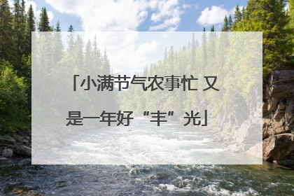 小满节气农事忙 又是一年好“丰”光