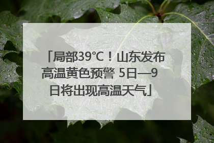 局部39℃！山东发布高温黄色预警 5日—9日将出现高温天气