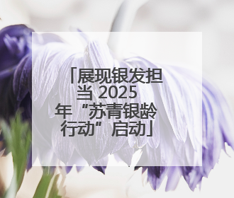 展现银发担当 2025年“苏青银龄行动”启动