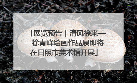 展览预告｜清风徐来——徐青峰绘画作品展即将在日照市美术馆开展