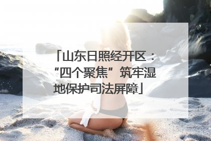 山东日照经开区：“四个聚焦”筑牢湿地保护司法屏障