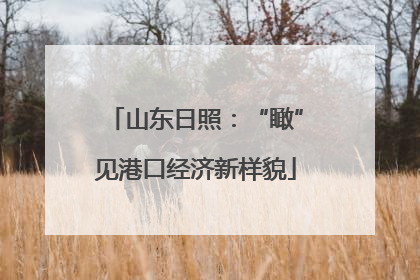 山东日照：“瞰”见港口经济新样貌