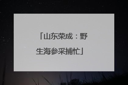 山东荣成：野生海参采捕忙