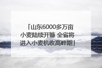 山东6000多万亩小麦陆续开镰 全省将进入小麦机收高峰期