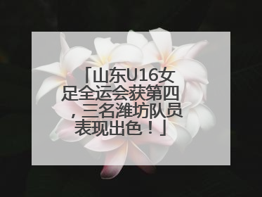 山东U16女足全运会获第四，三名潍坊队员表现出色！