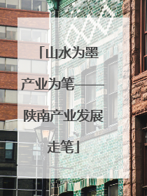 山水为墨 产业为笔——陕南产业发展走笔