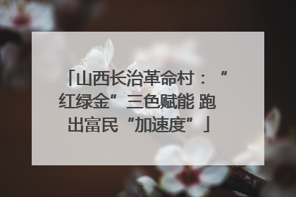 山西长治革命村：“红绿金”三色赋能 跑出富民“加速度”
