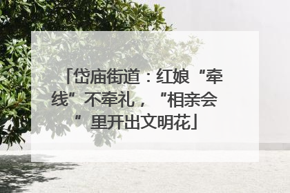岱庙街道：红娘“牵线”不牵礼，“相亲会”里开出文明花