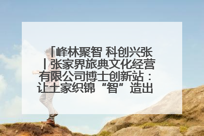 峰林聚智 科创兴张丨张家界旅典文化经营有限公司博士创新站：让土家织锦“智”造出非遗新传奇