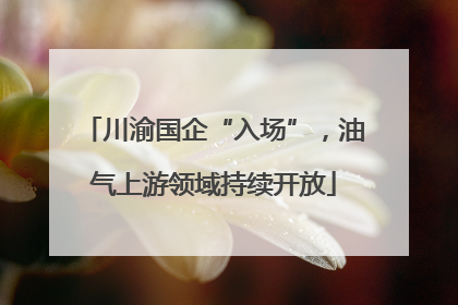 川渝国企“入场”，油气上游领域持续开放