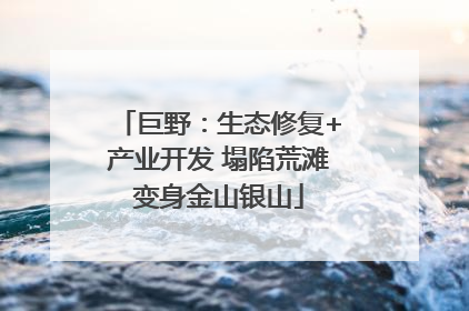 巨野：生态修复+产业开发 塌陷荒滩变身金山银山